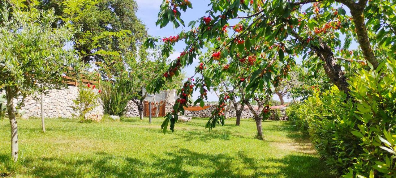 Red Rose B&B Martina Franca Eksteriør billede