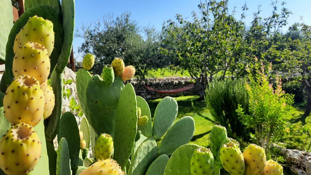 Red Rose B&B Martina Franca Eksteriør billede