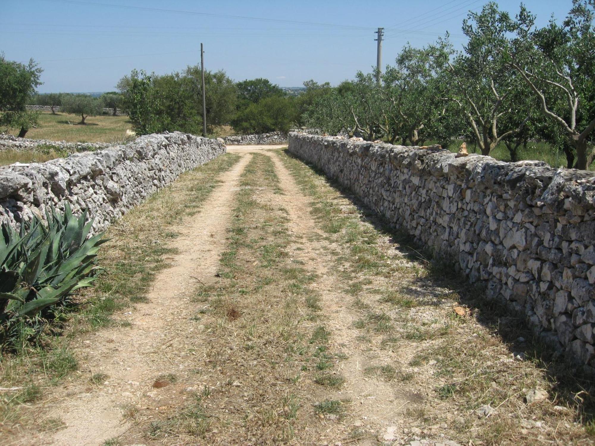 Red Rose B&B Martina Franca Eksteriør billede